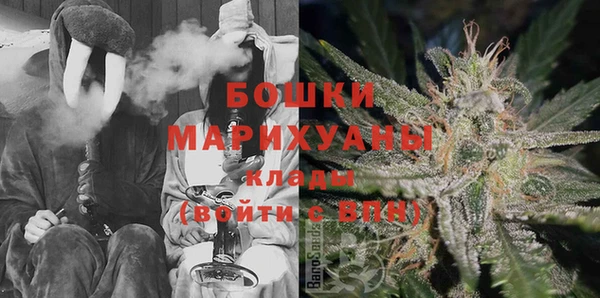 прущий лед Алзамай