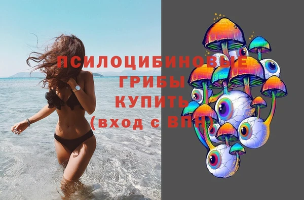 прущий лед Алзамай