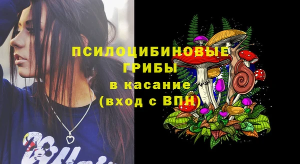 прущий лед Алзамай