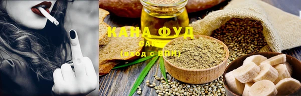 прущий лед Алзамай