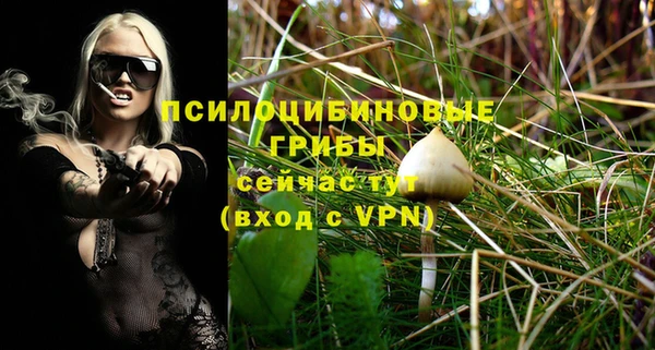 МДПВ Алексин