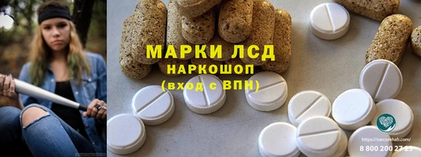 прущий лед Алзамай